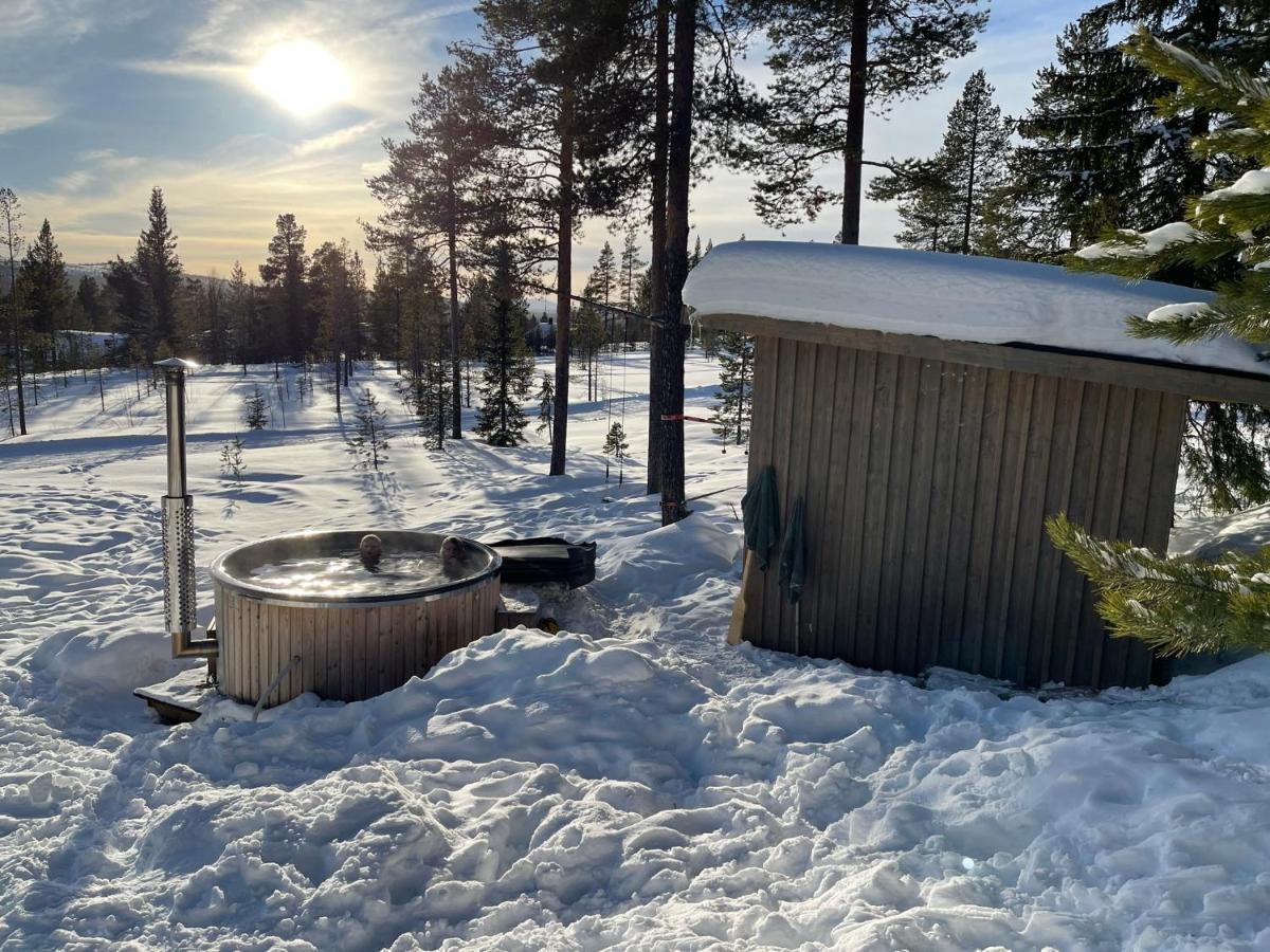 Mountain Cabin Lofsdalen Exterior photo