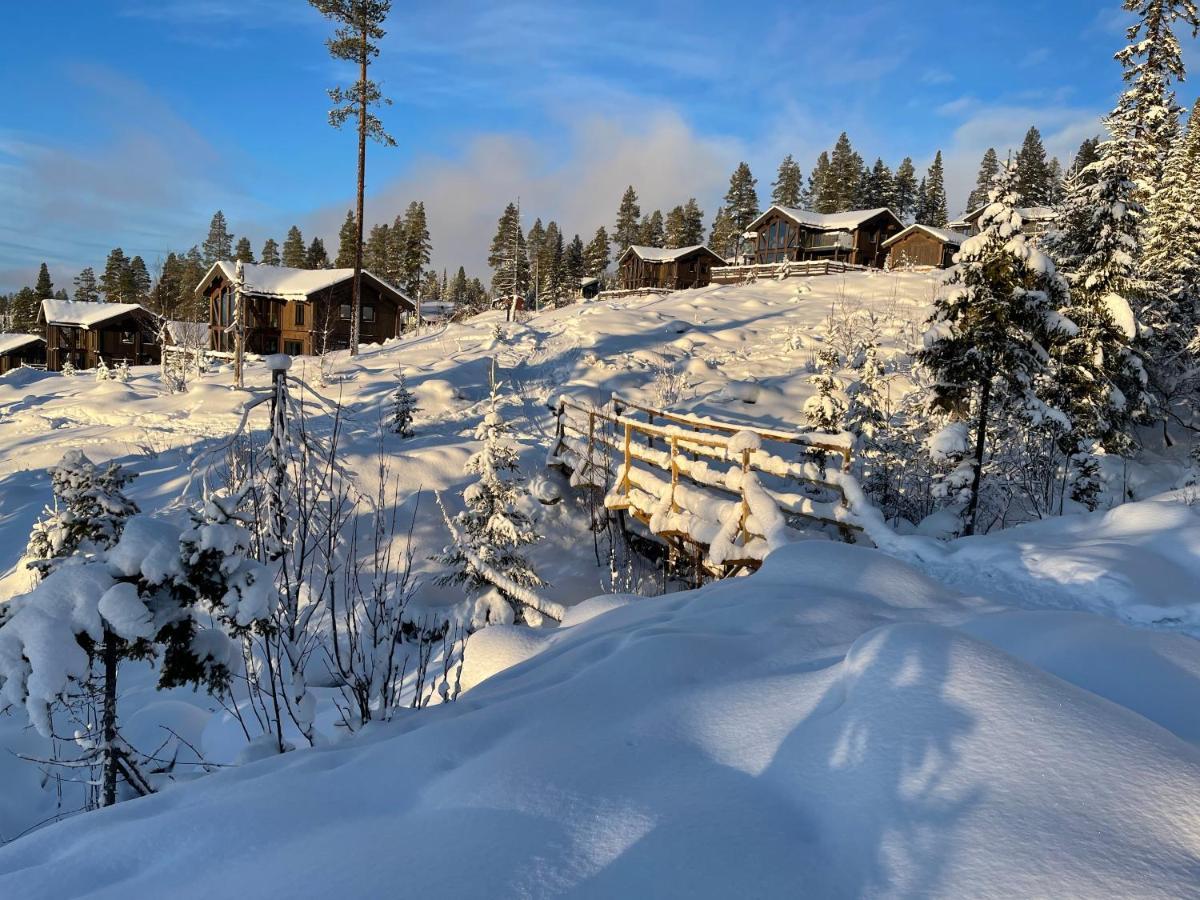 Mountain Cabin Lofsdalen Exterior photo
